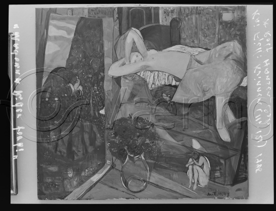 Glassplate og negativ film