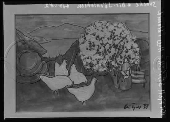 Glassplate og negativ film