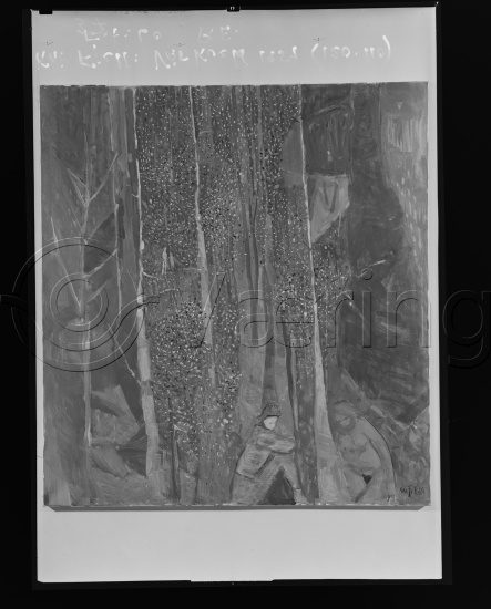 Glassplate og negativ film