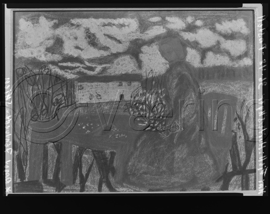 Glassplate og negativ film