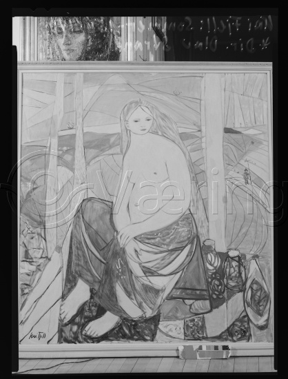 Glassplate og negativ film