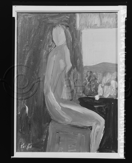 Glassplate og negativ film