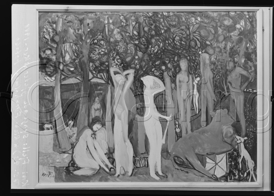 Glassplate og negativ film