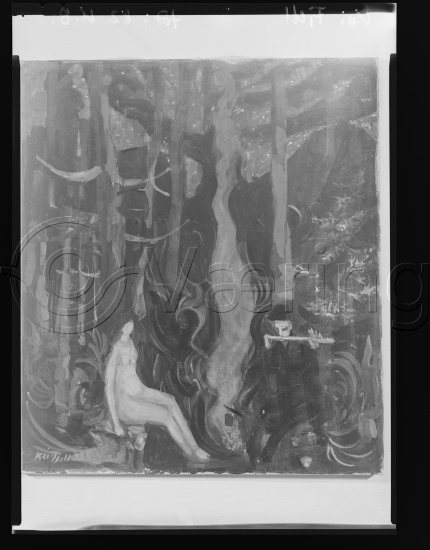 Glassplate og negativ film