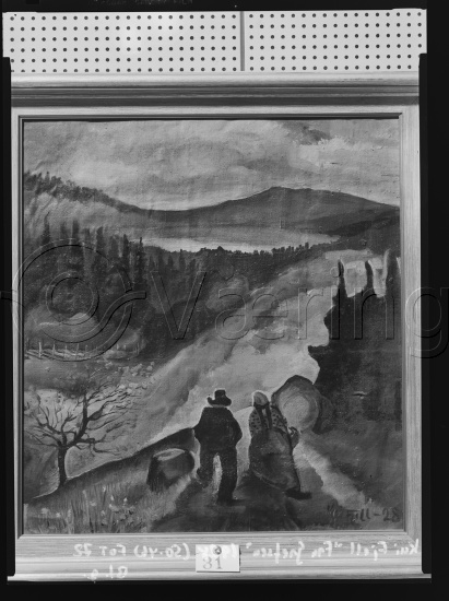 Glassplate og negativ film