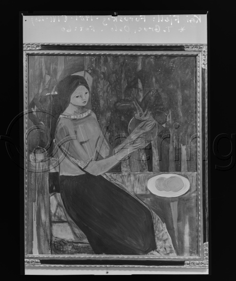 Glassplate og negativ film