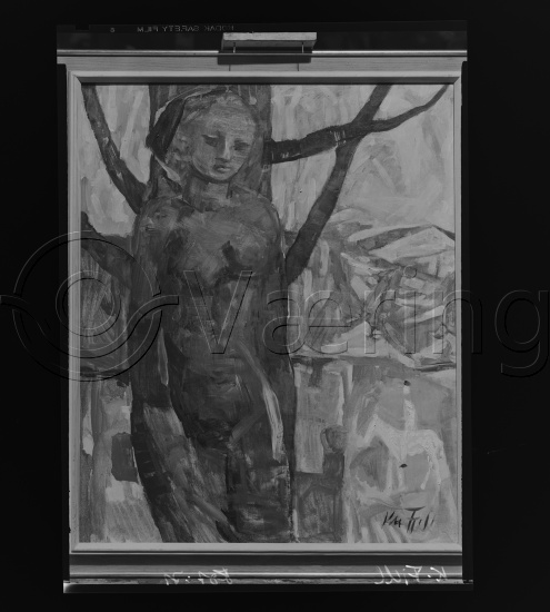 Glassplate og negativ film