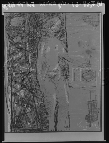 Glassplate og negativ film