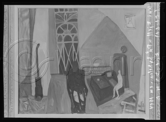 Glassplate og negativ film