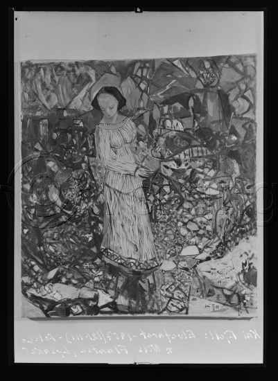 Glassplate og negativ film