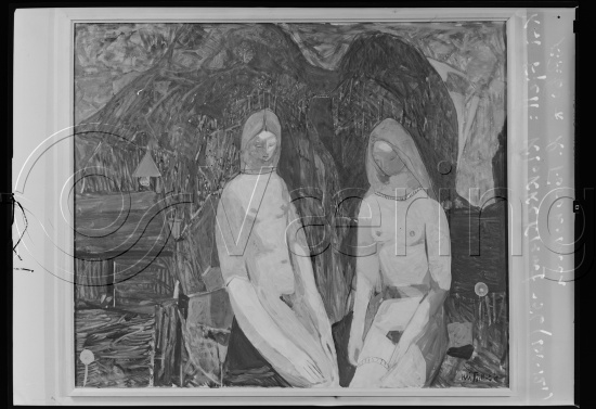 Glassplate og negativ film