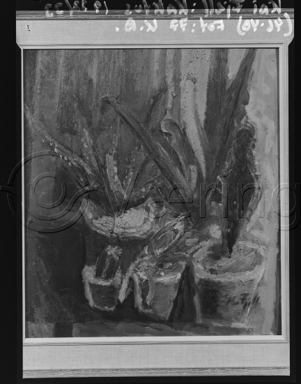 Glassplate og negativ film