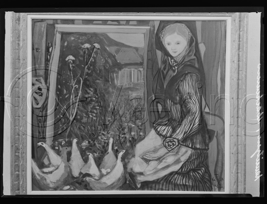 Glassplate og negativ film