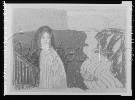 Glassplate og negativ film