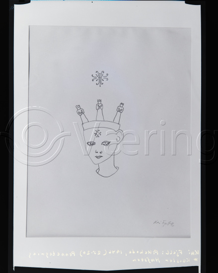 Glassplate og negativ film