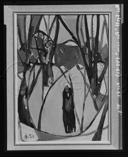 Glassplate og negativ film