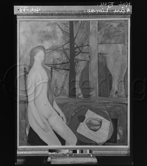 Glassplate og negativ film