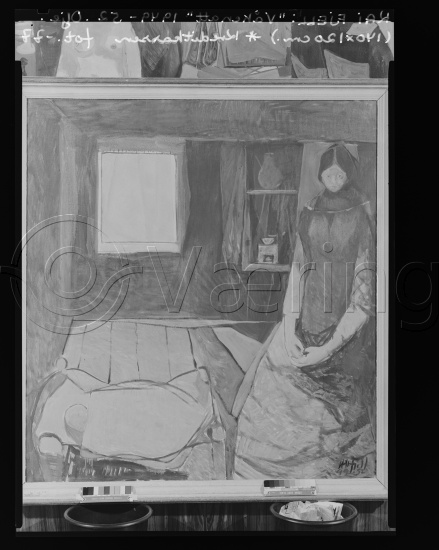 Glassplate og negativ film