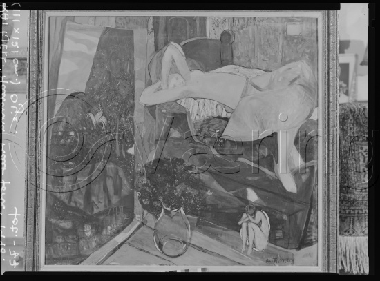 Glassplate og negativ film