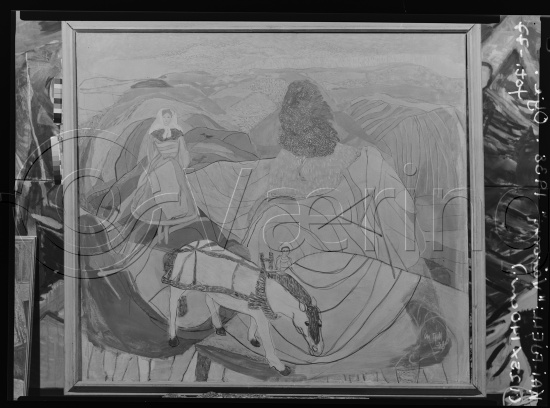 Glassplate og negativ film