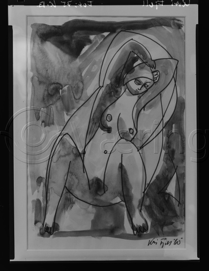 Glassplate og negativ film