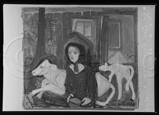 Glassplate og negativ film