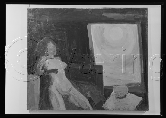 Glassplate og negativ film