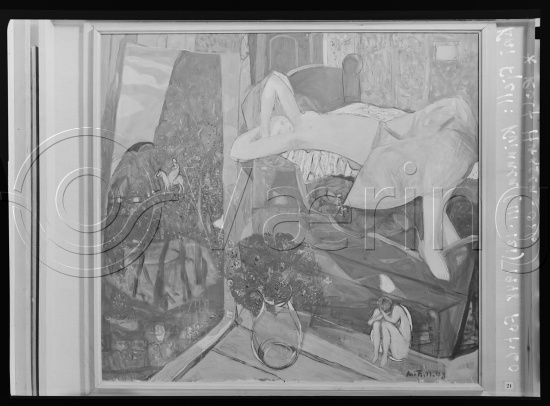 Glassplate og negativ film