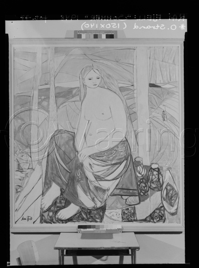 Glassplate og negativ film