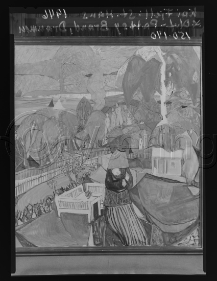 Glassplate og negativ film