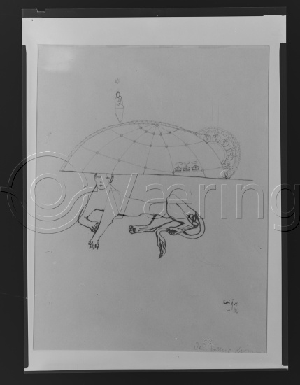 Glassplate og negativ film