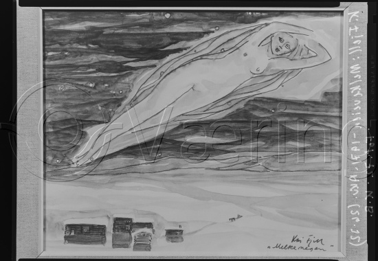 Glassplate og negativ film