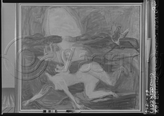 Glassplate og negativ film