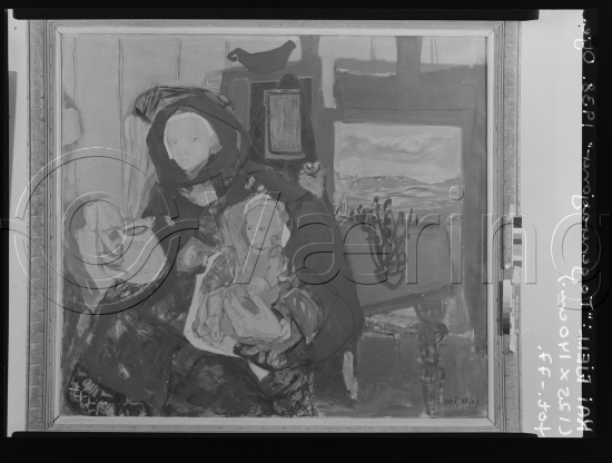 Glassplate og negativ film