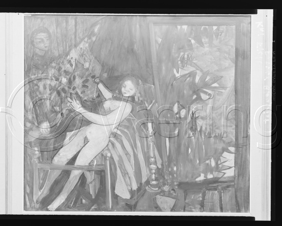 Glassplate og negativ film