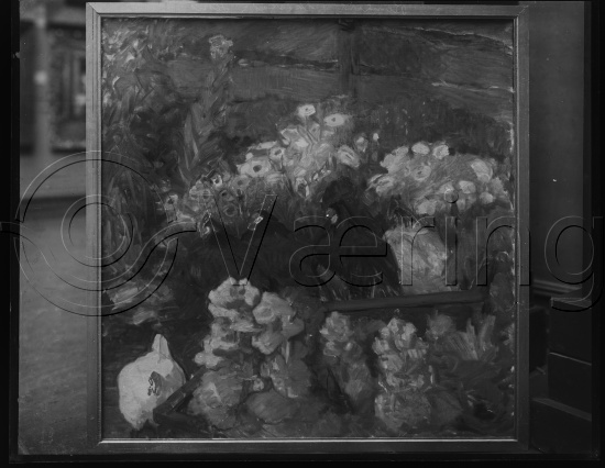 Glassplater og negativ film