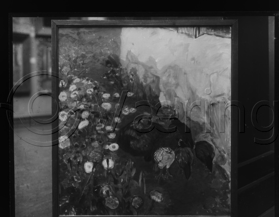 Glassplater og negativ film