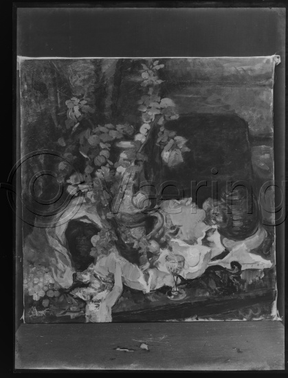 Glassplate og negativ film