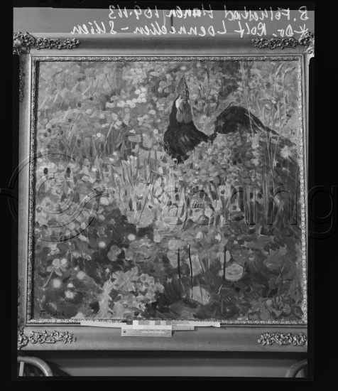 Glassplate og negativ film