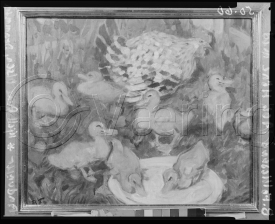 Glassplate og negativ film