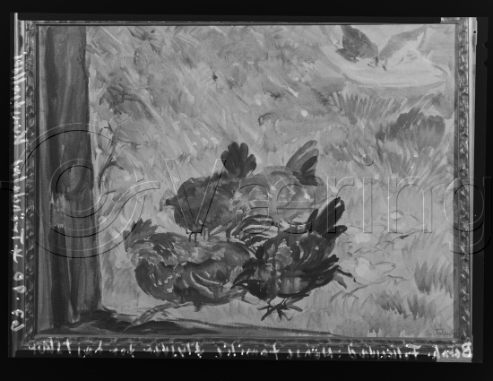 Glassplate og negativ film