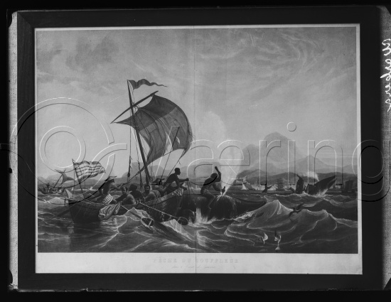 Glassplate og negativ film / I fotoeske med diverse fransk kunst