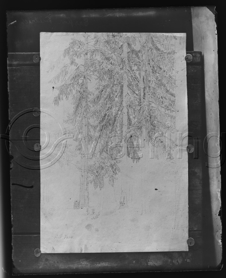 Glassplate