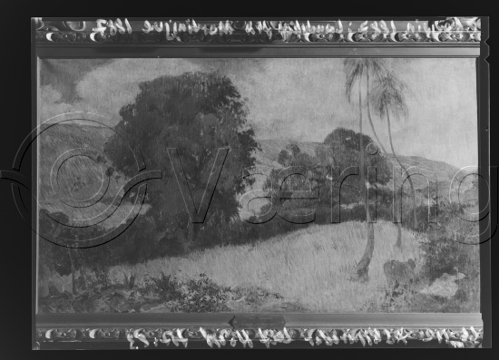 Glassplate og negativ film