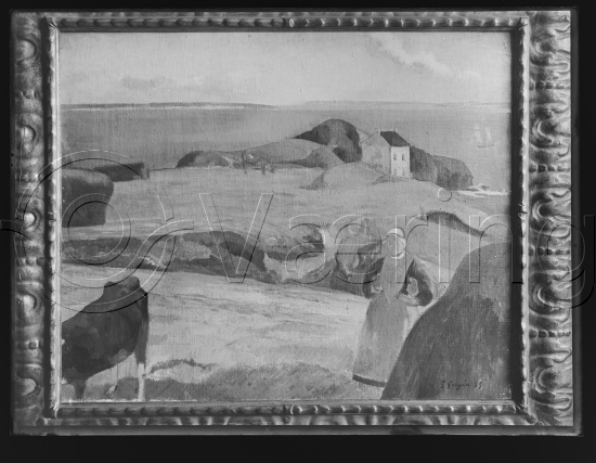 Glassplate og negativ film