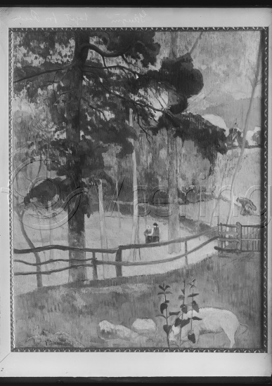 Glassplate og negativ film