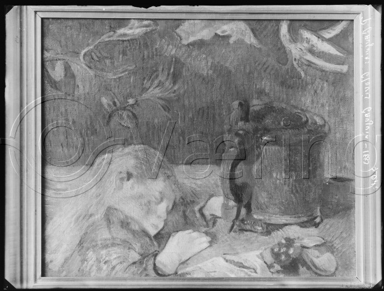 Glassplate og negativ film