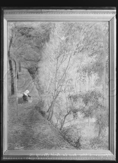 Glassplate og negativ film