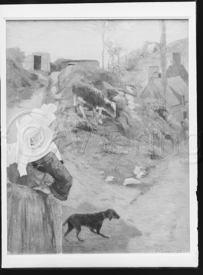 Glassplate og negativ film