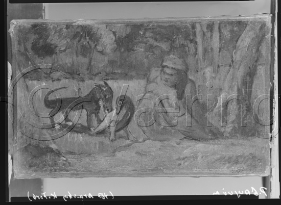 Glassplate og negativ film